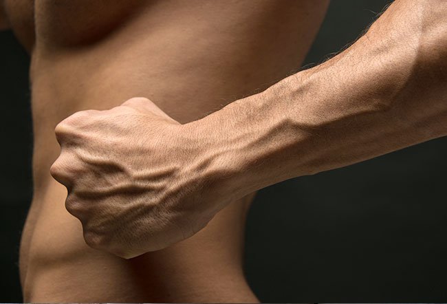 Your forearms are a part of the upper limb between the elbow and wrist.