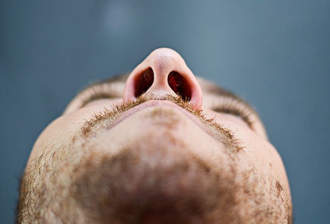 The nose is the most commonly injured structure in injuries involving the face.