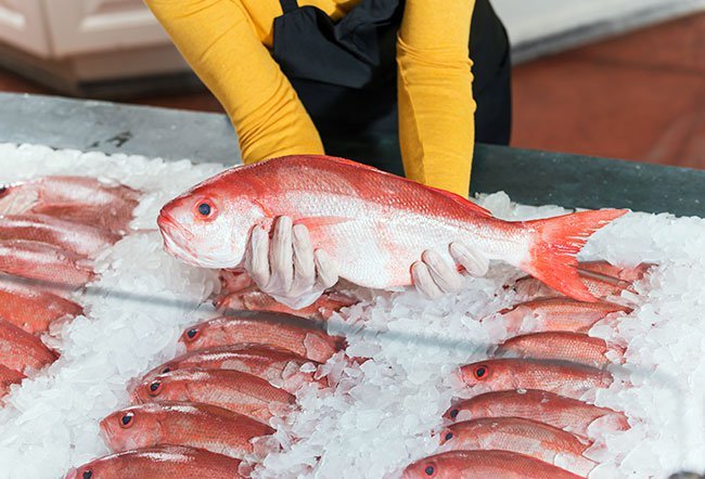 The best way to store fresh fish is on ice.