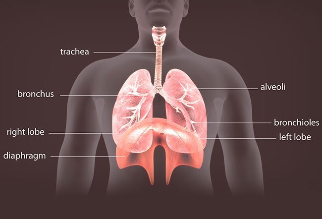 Tracheoesophageal puncture (TEP)