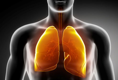 Shorter people tend to wait longer for lung transplants.