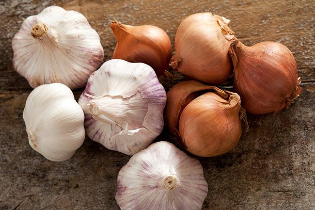 It's best to store garlic and onions in a cool, dark place or in the refrigerator.