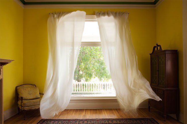 Keep the humidity down in your house to prevent mold.