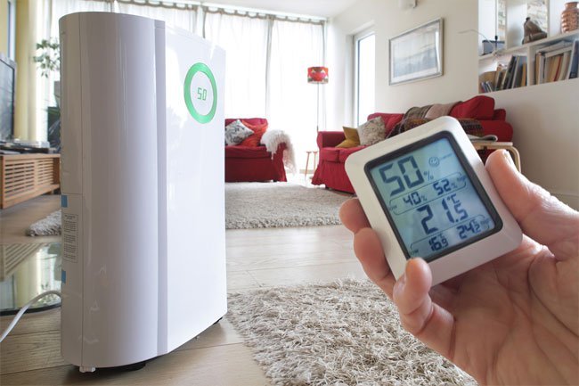 Keep tabs on humidity with a hygrometer to prevent mold.