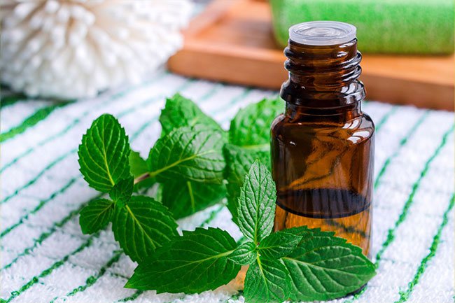 Peppermint oil is helpful for treating an upset stomach, irritable bowel syndrome (IBS), and tension headaches. 
