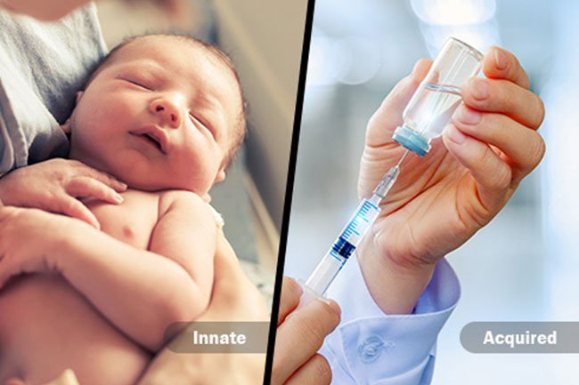 Your innate immune system is your first defense against infection.
