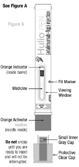 Parts of the HULIO PEN - Illustration