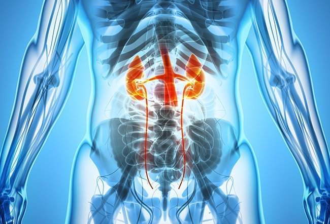 what are the 5 stages of chronic kidney disease?