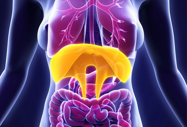 Hourglass syndrome (Stomach Gripping)