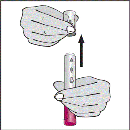 Turn the Pen so the plum-colored activator button is pointed up - Illustration