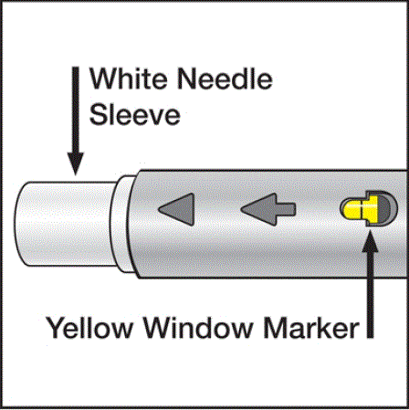 Put your Pen in a FDA-cleared sharps disposal container right away after use - Illustration