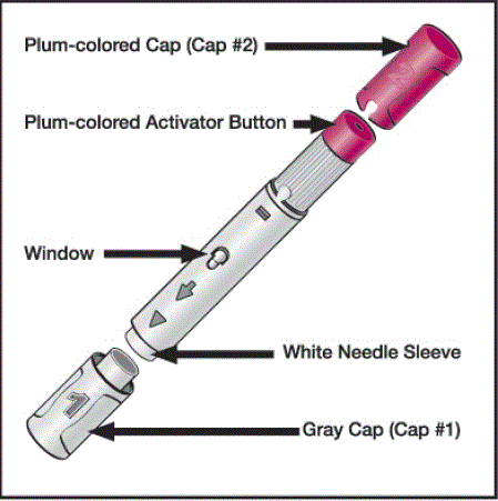 Make sure the amount of liquid in the Pen is at the fill line or close to the fill line seen through the window. This is the full dose of HUMIRA that you will inject - Illustration