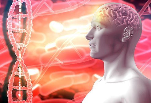 Brain anatomy and DNA illustration.