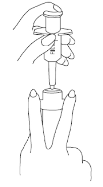 press down firmly on cap flanges - illustration