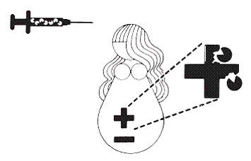 Prevention of Hemolytic Disease - Illustration