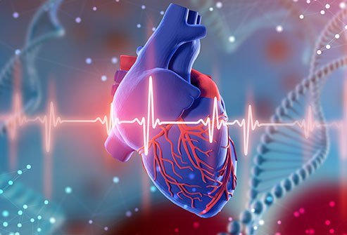 HCM is the most common cause of sudden cardiac death in individuals aged less than 30 years