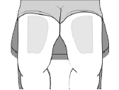 Injection site: front of the middle thighs - Illustration