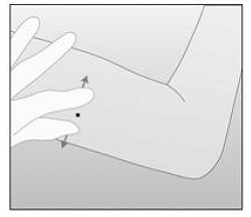  P -Proximal (toward
the shoulder) - Illustration