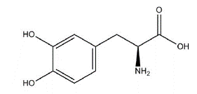 INBRIJA™ (levodopa) Structural Formula  - Illustration