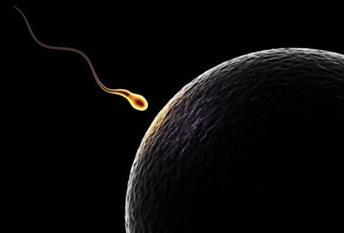 The main symptom of infertility is failure to conceive after a year of unprotected sex.