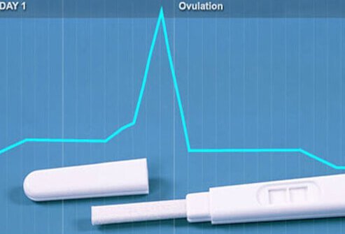Bad timing can contribute to a failure to conceive.