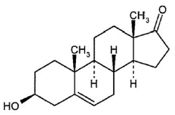 INTRAROSA™ (prasterone) - Structural Formula  - Illustration