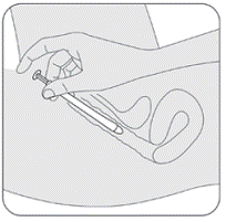 Gently slide the vaginal insert
end of the applicator into your vagina as far as it will comfortably go - Illustration