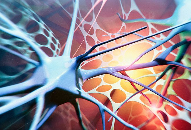 Spinal muscular atrophy (SMA) is a type of genetic condition that affects the nerve cells 