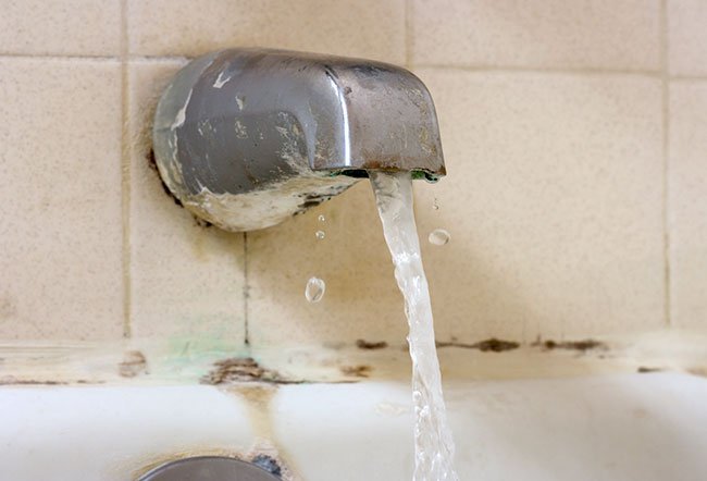 Mold in your shower can cause annoying symptoms and health problems in people who are sensitive to it. The color of the mold doesn't have any connection to how dangerous it is.