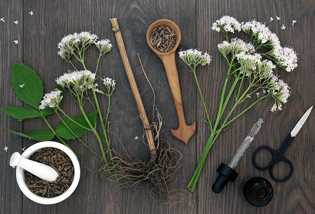 Valerian is an herb that has been used for centuries to decrease anxiety. It is believed to work my increasing the levels of GABA in the brain.