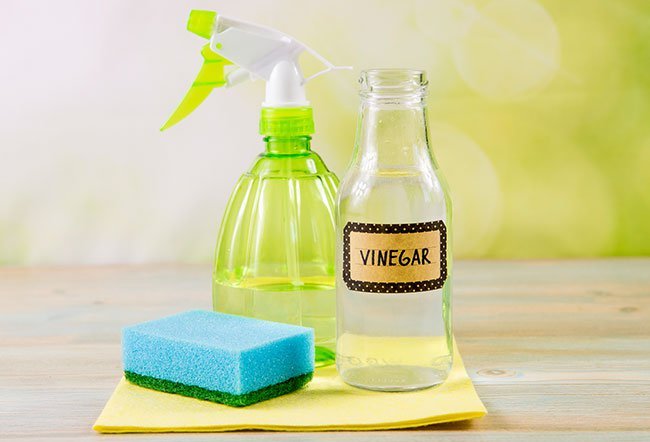 Vinegar is one of the best ingredients to make a pest control spray.