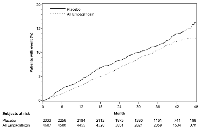 Estimated Cumulative Incidence of First MACE - Illustration