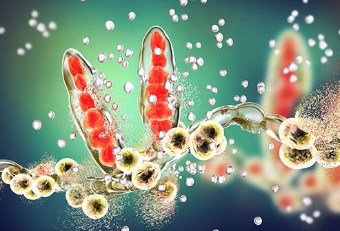 Jock itch (tinea cruris) is a common rash that primarily surfaces in the groin area due to a buildup of heat and moisture. The fastest way to cure it is to wash and keep the area clean and dry. Topical treatments and medications can also help speed healing. 