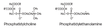 Ethanolamine ester - structural formula illustration