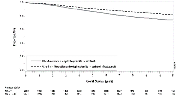 Duration of Overall Survival in Patients with Adjuvant Treatment of Breast Cancer - Illustration