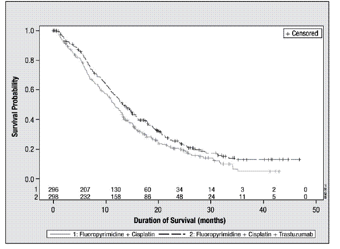 Updated Overall Survival in Patients with Metastatic
Gastric Cancer - Illustration