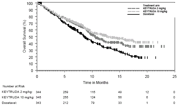 Kaplan-Meier Curve for Overall Survival in
KEYNOTE-189* - Illustration