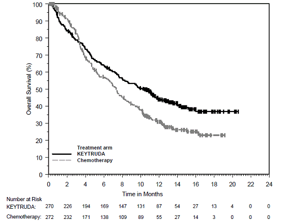 Kaplan-Meier Curve for Overall Survival in
KEYNOTE-407* - Illustration