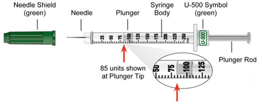 Humulin R U-500 syringe - Illustration