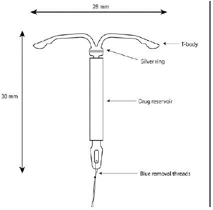 Components of Kyleena - Illustration