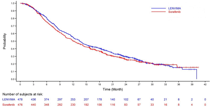 Kaplan-Meier Curves for Overall Survival in REFLECT - Illustration