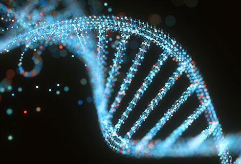 DNA is your body's recipe book, and a small tweak can have big impacts.