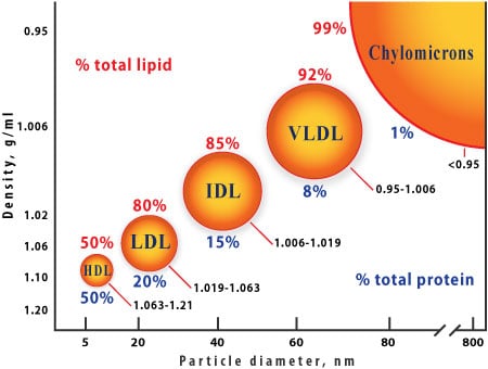 Picture of lipid sizes and densities.