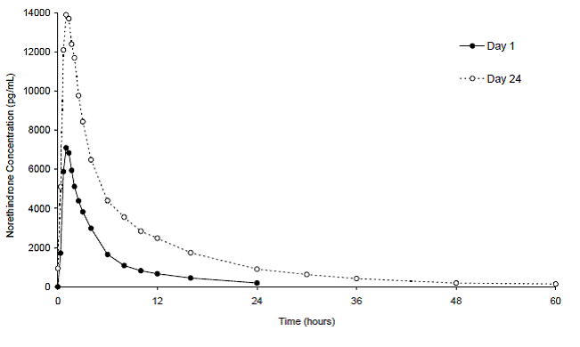 Mean Plasma Norethindrone Concentration-Time Profiles - Illustration