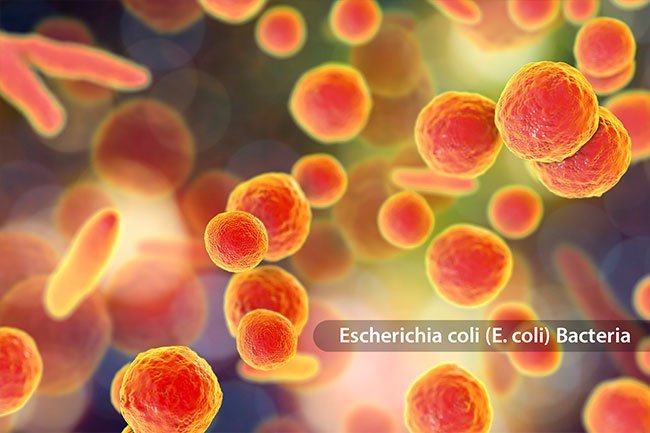 During sex, germs can travel up the urethra and into your urinary tract, causing a urinary tract infection.