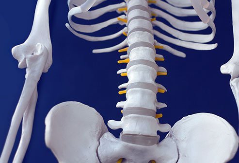 A lumbar facetectomy is the removal of the facet joints from one or more vertebrae in the lower back.