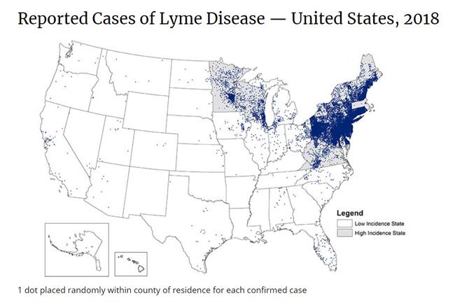 Lyme disease is present in all 50 states, but the illness is most commonly found in the Northeastern US.