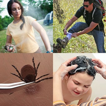 A woman sprays insect repellant while camping, a hiker tucks his pants into his socks, a person uses tweezers to remove a tick, and a child takes a bath.