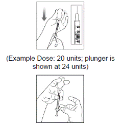 Turn the vial and syringe upside down and
slowly pull the plunger down until the plunger tip is a few units past the line
for your prescribed dose - Illustration