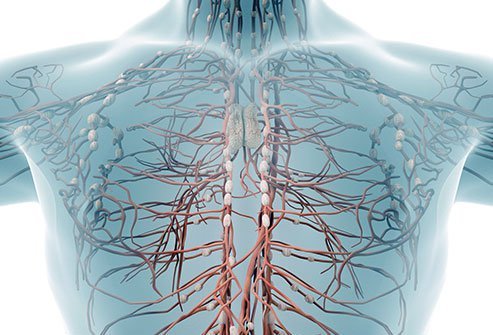 When the lymph nodes in the mediastinum become enlarged, it is called mediastinal lymphadenopathy. 